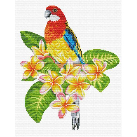 NO COUNT CROSS STITCH - PERROQUET ROSELLA