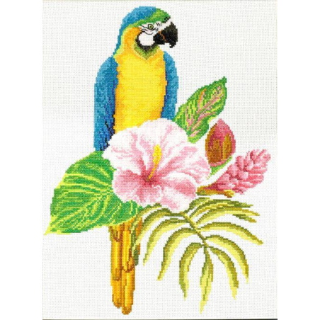 NO COUNT CROSS STITCH - PERROQUET MACAW