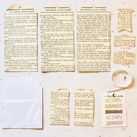 Etiquettes dans pages  vieux livres + pochette + 5 petits stickers dorés - LITM-DC-003