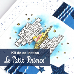 Kit de collection Le Petit Prince