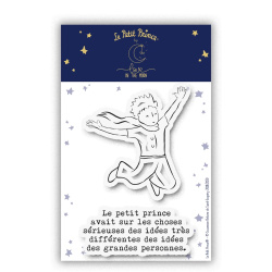 Le Petit Prince® - Idées sérieuses & idées des grandes personnes
