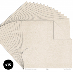 Papier Recto / Verso - 30.5cm x 31.5cm - 250g/M2 - BL-027