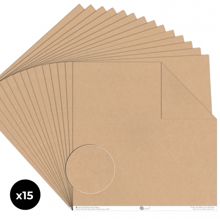 Papier Recto / Verso - 30.5cm x 31.5cm - 250g/M2 - BL-028