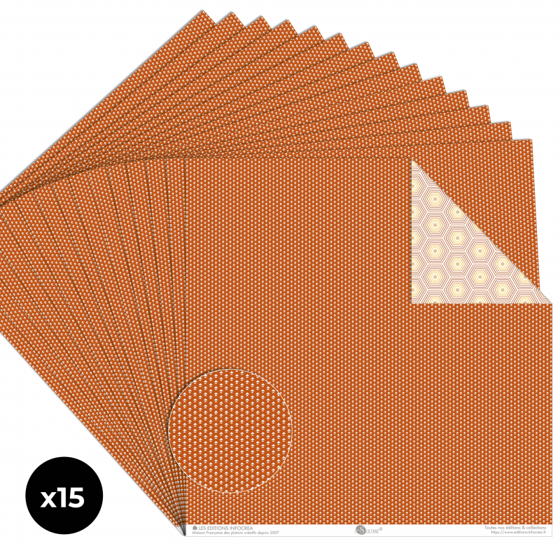 Papier Recto / Verso - 30.5cm x 31.5cm - 250g/M2 - BL-059