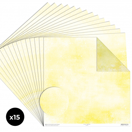 Papier Recto / Verso - 30.5cm x 31.5cm - 250g/M2 - BL-095