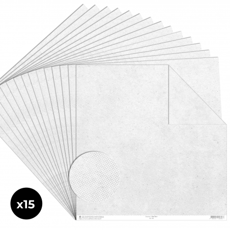 Papier Recto / Verso - 30.5cm x 31.5cm - 250g/M2 - BL-103