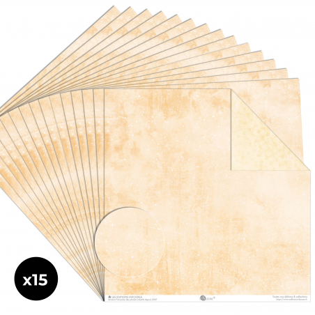 Papier Recto / Verso - 30.5cm x 31.5cm - 250g/M2 - BL-112