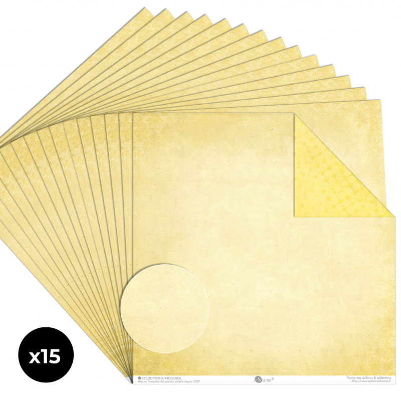 Papier Recto / Verso - 30.5cm x 31.5cm - 250g/M2 - BL-113
