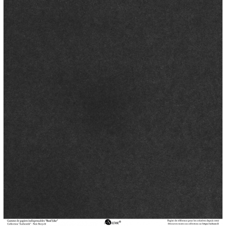 Papiers Recto / Verso - 30,5x31,5cm - Authentik - Noir recyclé