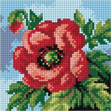 CANEVAS BLANC 15 X 15 CM - COQUELICOTS CIEL BLEU