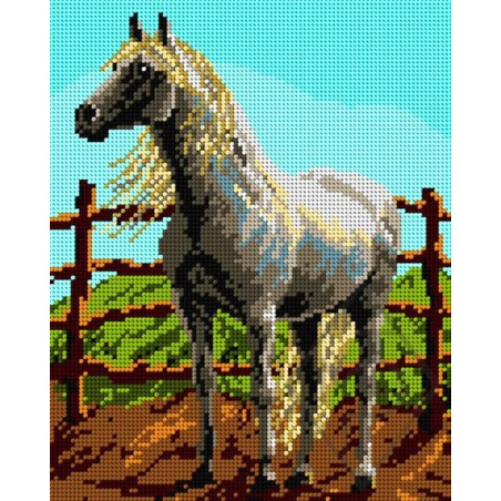 CANEVAS ANTIQUE 24 X 30 CM - CHEVAL BLANC