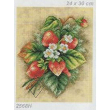 CANEVAS ANTIQUE 24 X 30 CM - LES FRAISES