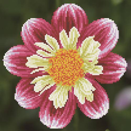 KIT BRODERIE DIAMANT - LA MARGUERITE