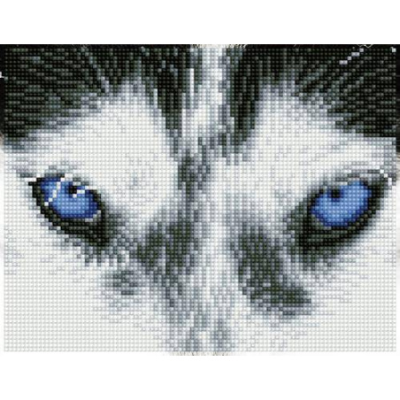 KIT BRODERIE DIAMANT SQUARES - MYSTIC HUSKY