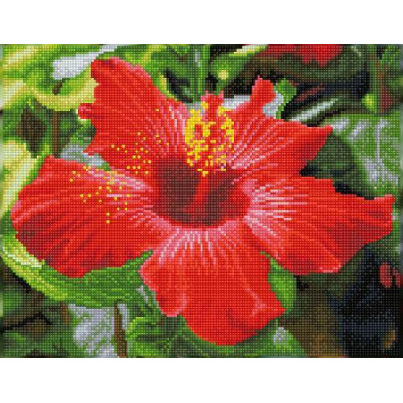 KIT BRODERIE DIAMANT SQUARES - HIBISCUS EN FLEUR