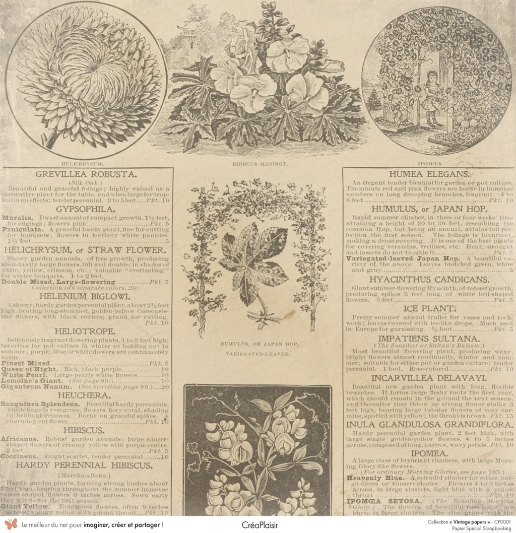 Set papiers Vintage Papers - 6 papiers 30,5x31,5 cm + 6 papiers 12x30,5cm