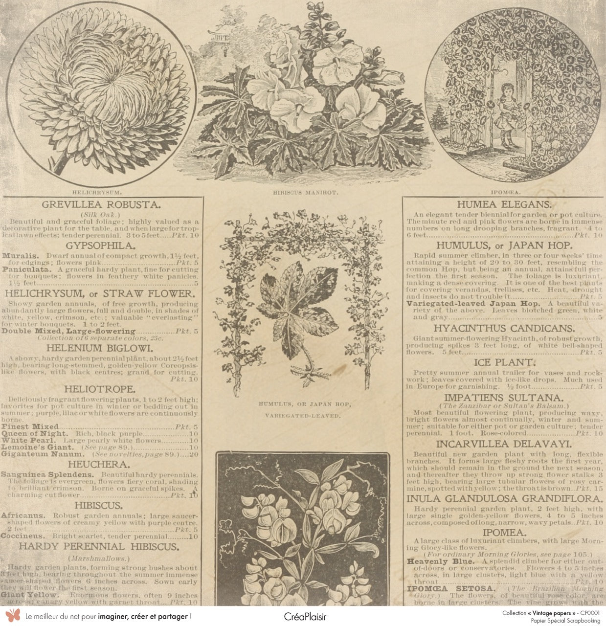 Set papiers Vintage Papers - 6 papiers 30,5x31,5 cm + 6 papiers 12x30,5cm