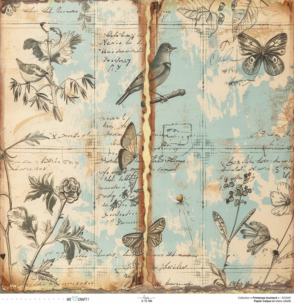 Set de 6 Calques Scrapbooking - Printemps charmant - Love in the Moon