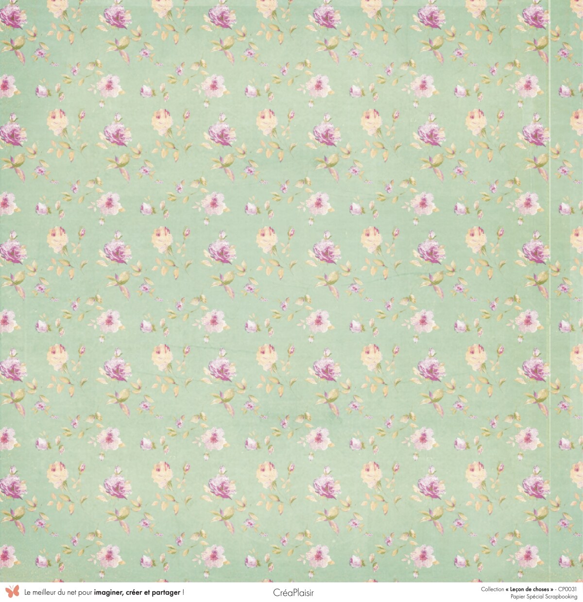 5 cm + 6 papiers 12x30