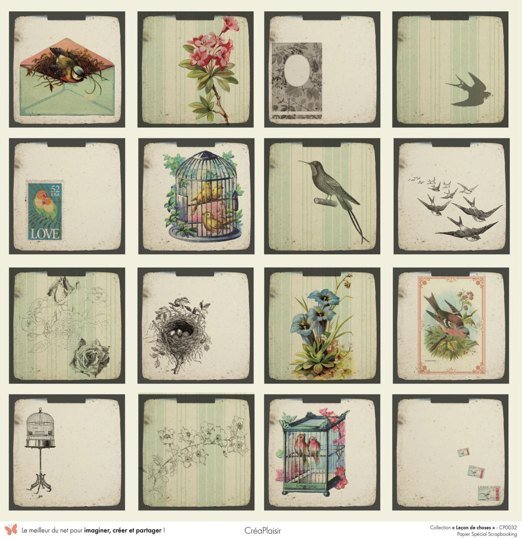Set papiers Leçon de choses - 6 papiers 30,5x31,5 cm + 6 papiers 12x30,5cm