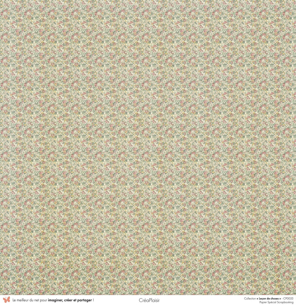 Set papiers Leçon de choses - 6 papiers 30,5x31,5 cm + 6 papiers 12x30,5cm