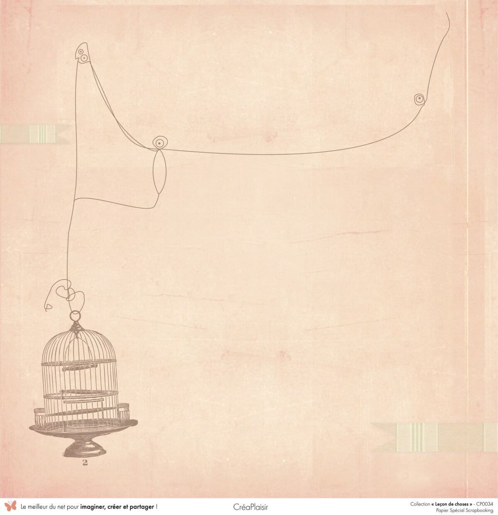 Set papiers Leçon de choses - 6 papiers 30,5x31,5 cm + 6 papiers 12x30,5cm