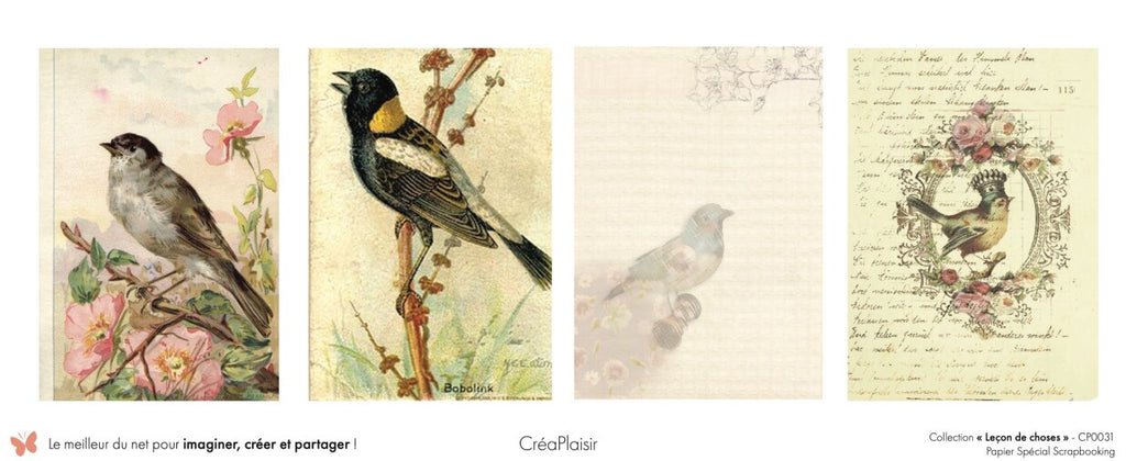 Set papiers Leçon de choses - 6 papiers 30,5x31,5 cm + 6 papiers 12x30,5cm