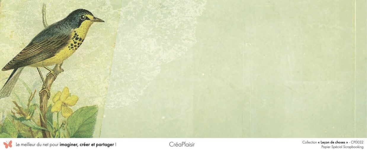 Set papiers Leçon de choses - 6 papiers 30,5x31,5 cm + 6 papiers 12x30,5cm