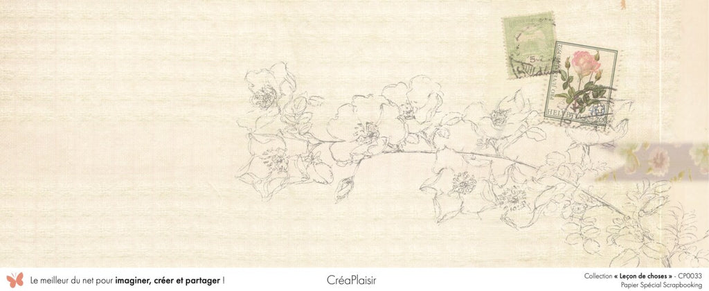 Set papiers Leçon de choses - 6 papiers 30,5x31,5 cm + 6 papiers 12x30,5cm