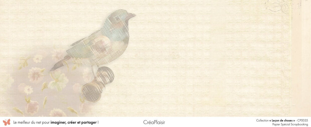 Set papiers Leçon de choses - 6 papiers 30,5x31,5 cm + 6 papiers 12x30,5cm