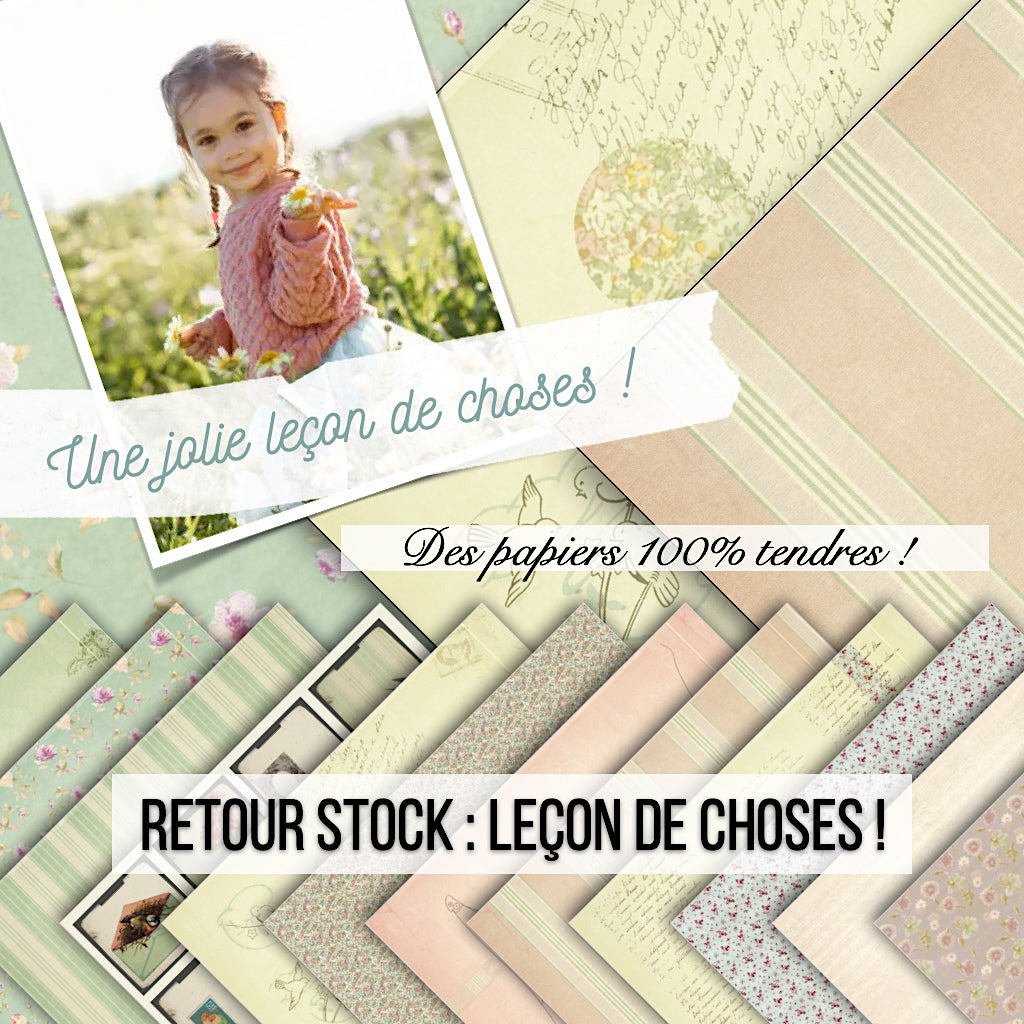 Set papiers Leçon de choses - 6 papiers 30