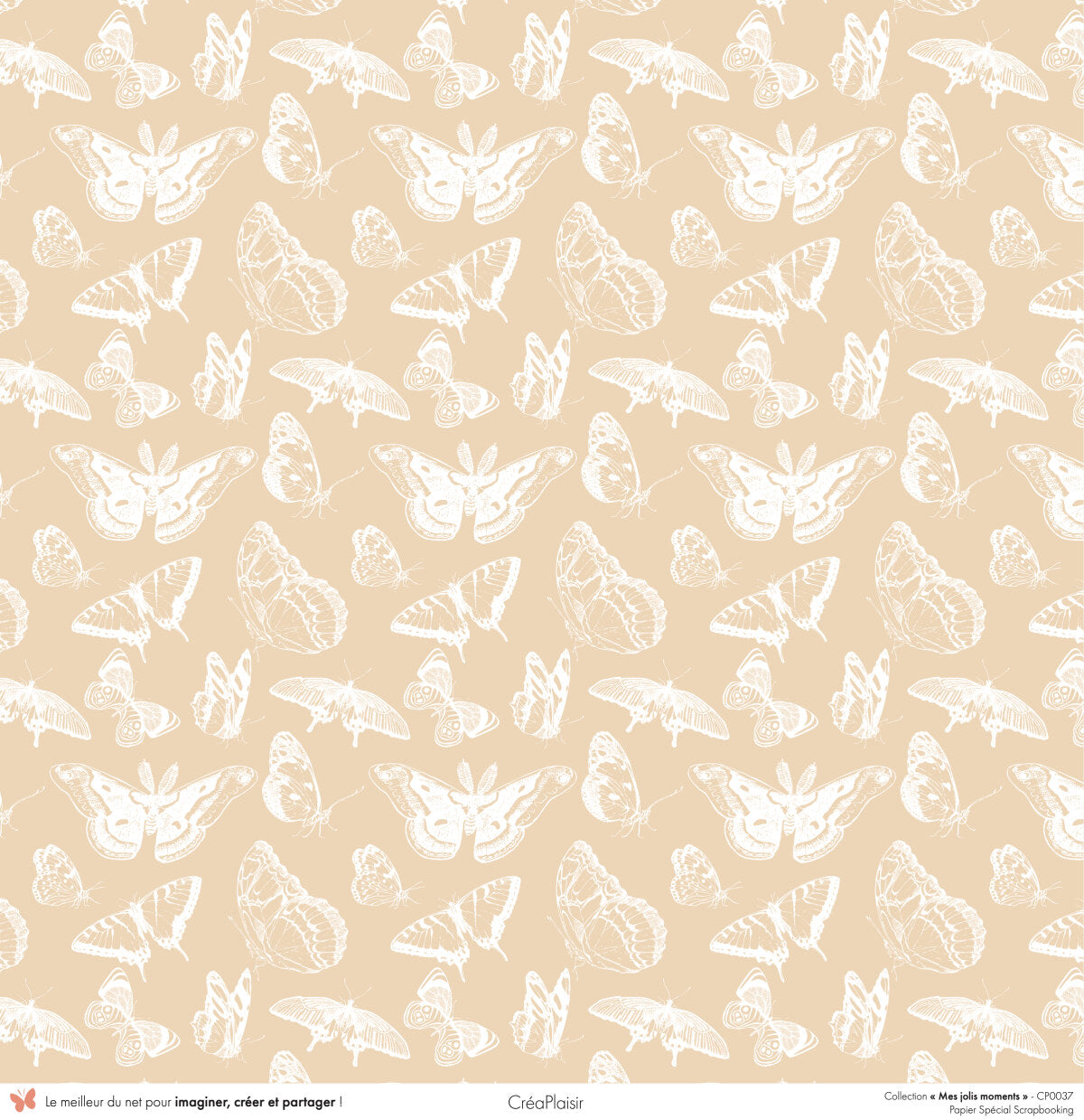 5 cm + 6 papiers 12x30