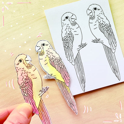 2 Tampons transparents 