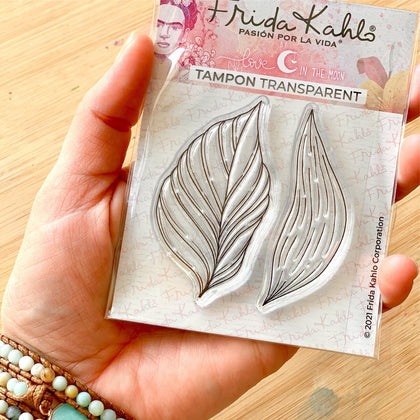 2 tampons transparents 