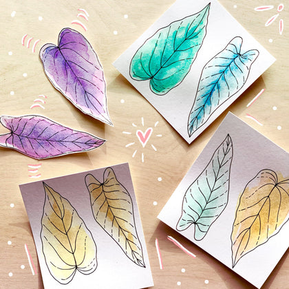 2 tampons transparents 