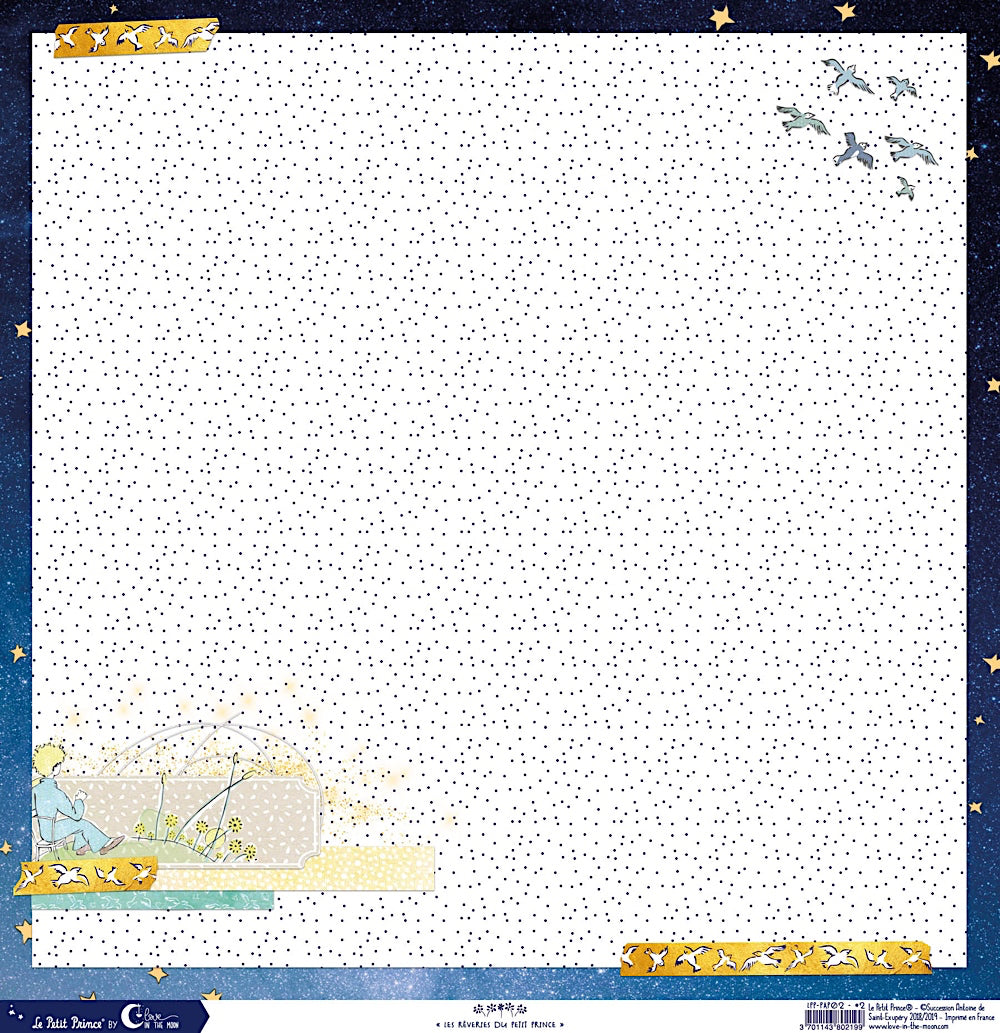Set de 12 papiers Les rêveries du Petit Prince 250 g/m2 - 30,5x30,5 cm