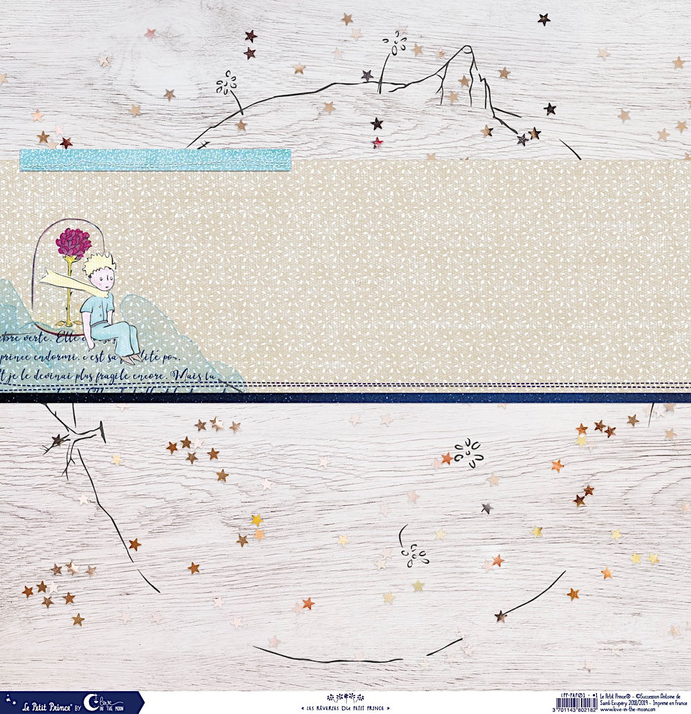 Set de 12 papiers Les rêveries du Petit Prince 250 g/m2 - 30,5x30,5 cm