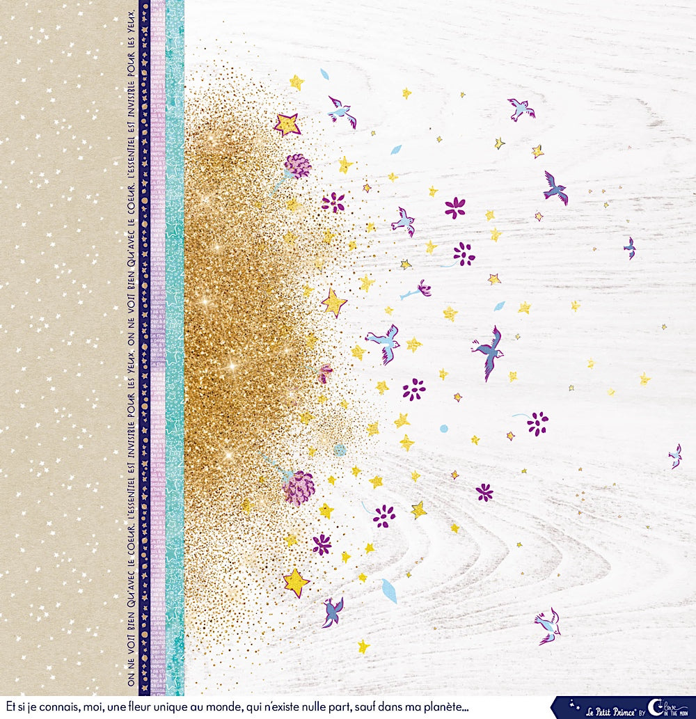 Set de 12 papiers Les rêveries du Petit Prince 250 g/m2 - 30,5x30,5 cm