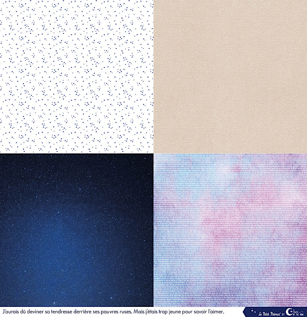 Set de 12 papiers Les rêveries du Petit Prince 250 g/m2 - 30,5x30,5 cm