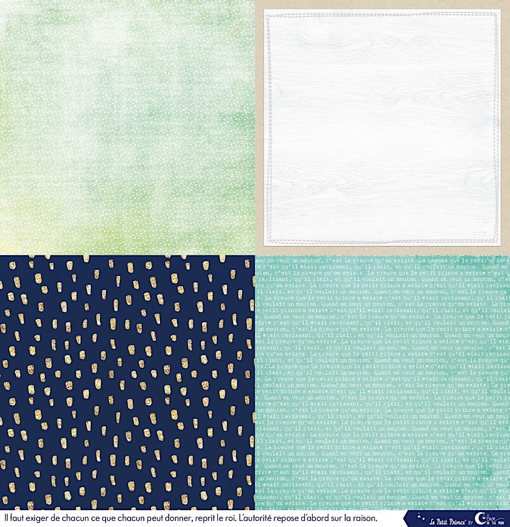 Set de 12 papiers Les rêveries du Petit Prince 250 g/m2 - 30,5x30,5 cm