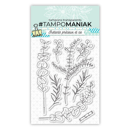 Set de 8 tampons clear Eucalyptus - 10x15 cm