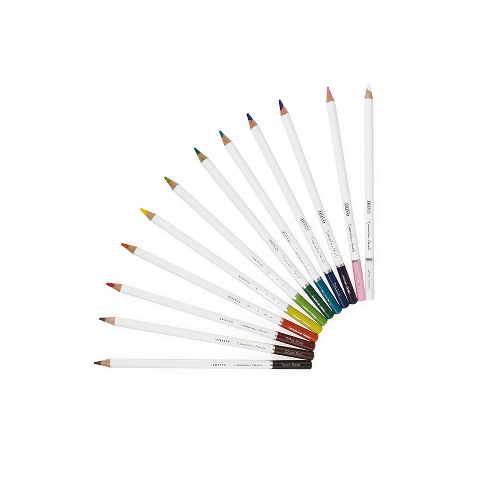 Crayons Aquarelle Vibrant