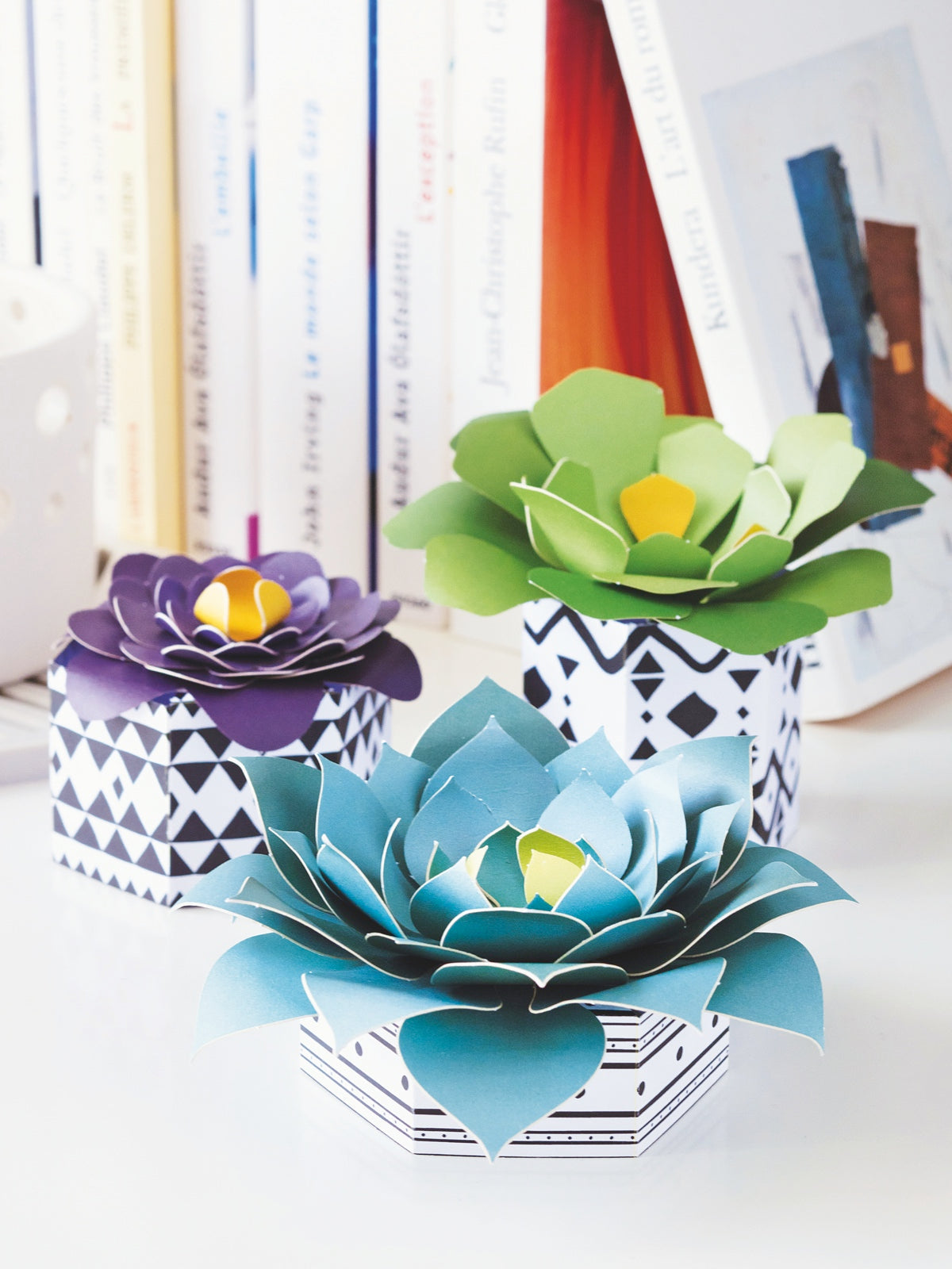 FRENCH'KITS - DÉCORATION - LES SUCCULENTES