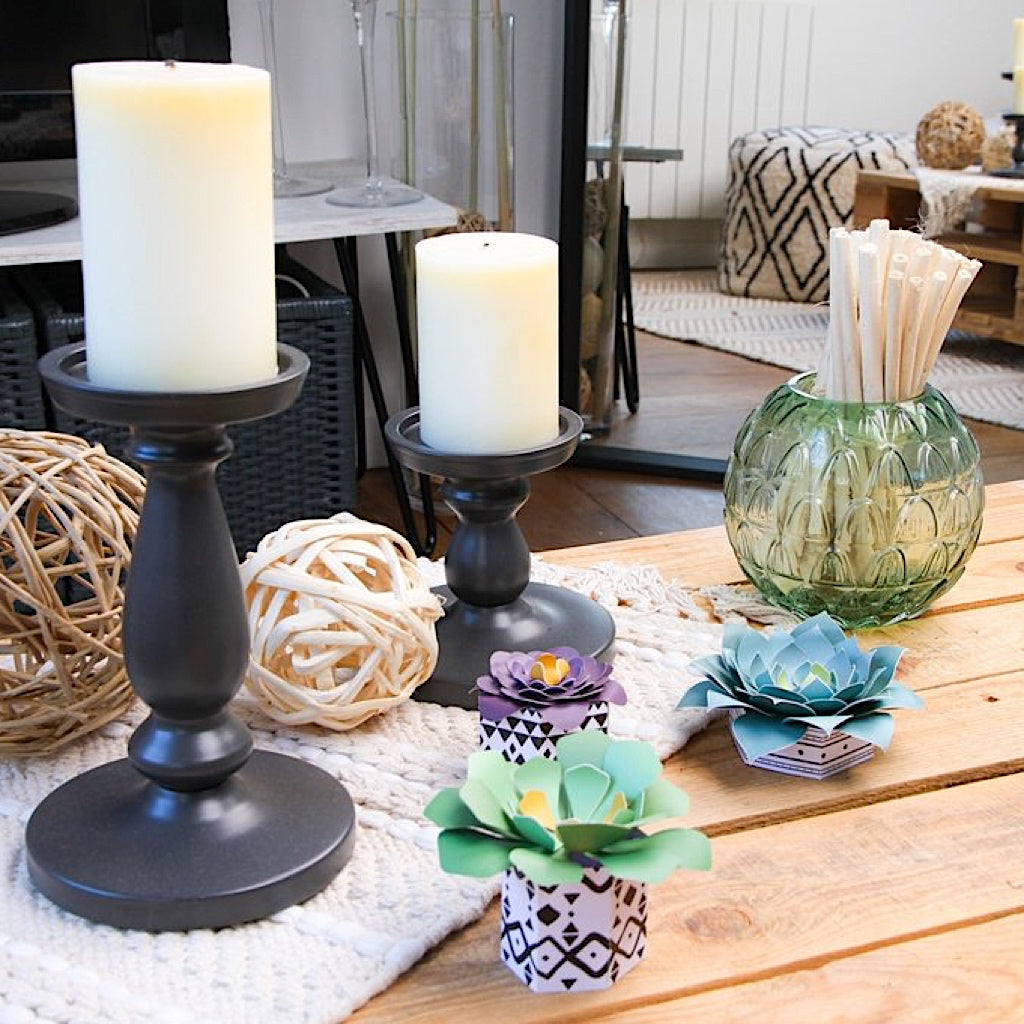 FRENCH'KITS - DÉCORATION - LES SUCCULENTES