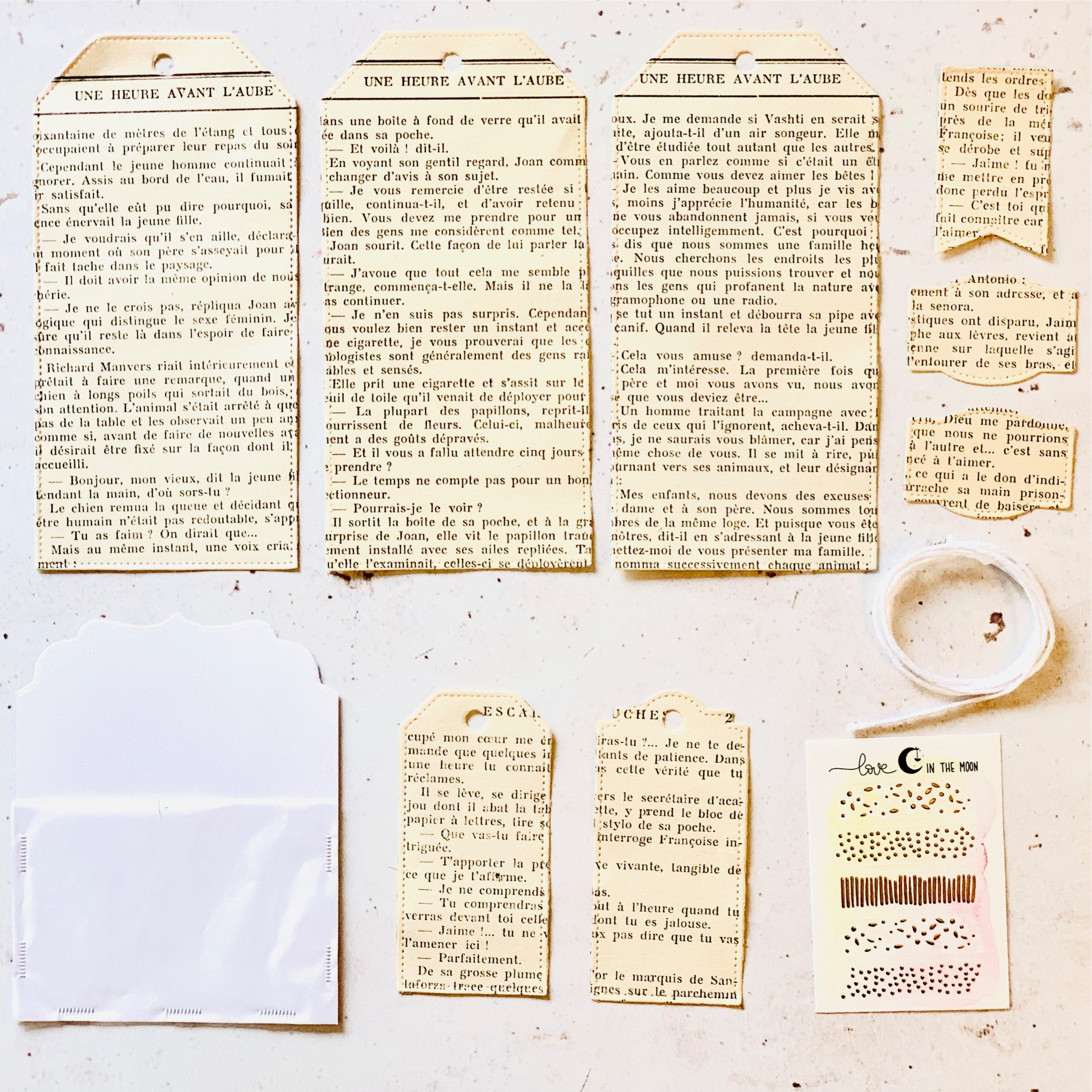 Etiquettes dans pages de vieux livres + pochette + 5 petits stickers à motifs dorés - LITM-DC-003